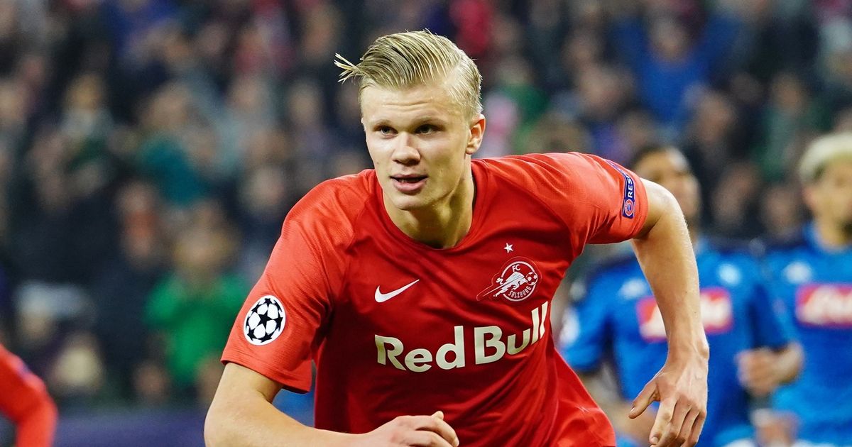 新手在对战 新手在对战